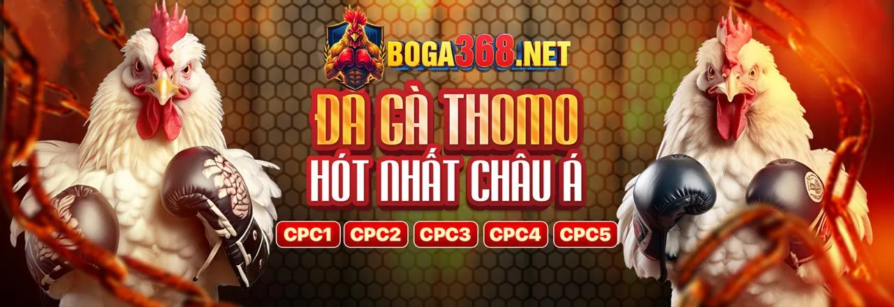 Cá cược thể thao sôi động với tỷ lệ kèo hấp dẫn